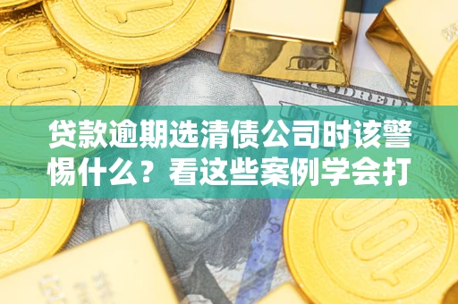 武汉贷款逾期选清债公司时该警惕什么？看这些案例学会打翻身仗