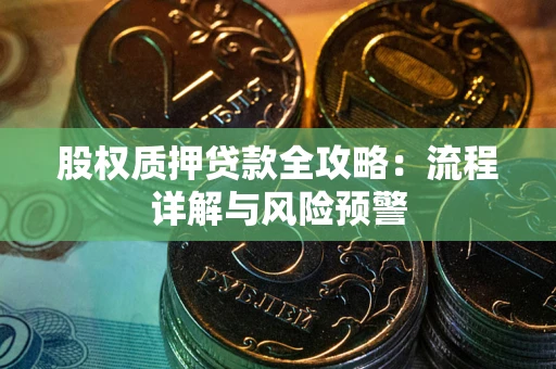 武汉股权质押贷款全攻略：流程详解与风险预警