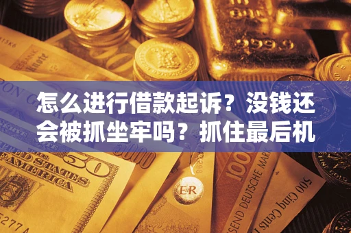 武汉怎么进行借款起诉？没钱还会被抓坐牢吗？抓住最后机会！