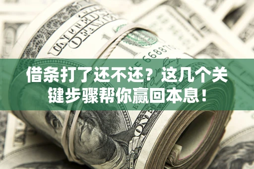 武汉借条打了还不还？这几个关键步骤帮你赢回本息！