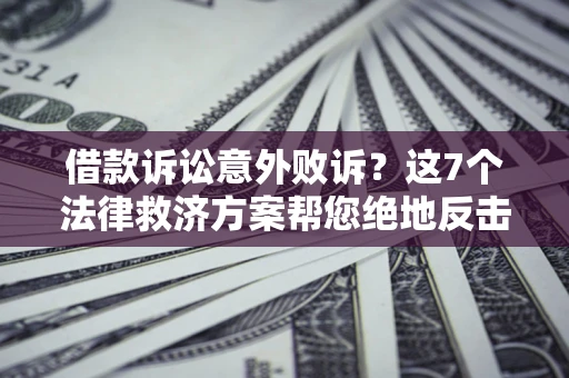 武汉借款诉讼意外败诉？这7个法律救济方案帮您绝地反击！