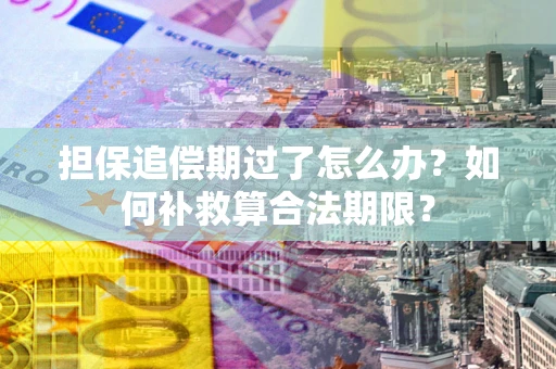 武汉担保追偿期过了怎么办？如何补救算合法期限？