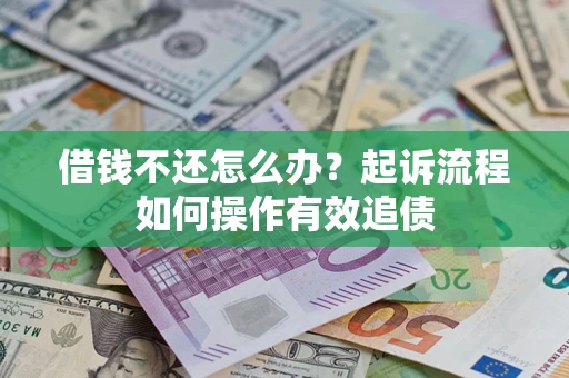 武汉借钱不还怎么办？起诉流程如何操作有效追债
