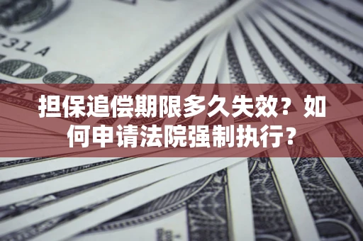 武汉担保追偿期限多久失效？如何申请法院强制执行？