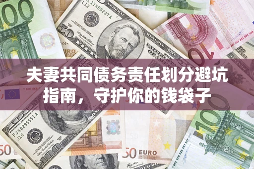 武汉夫妻共同债务责任划分避坑指南，守护你的钱袋子