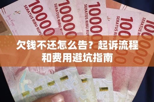 武汉欠钱不还怎么告？起诉流程和费用避坑指南
